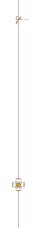 Grafik Design