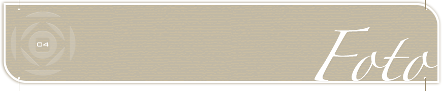 Pixel, Pixel! Webdesign